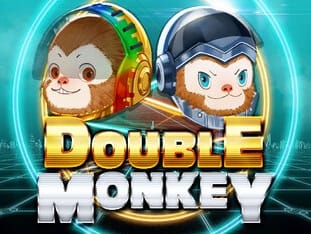 Double Monkey icon